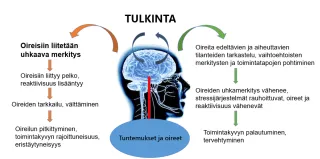 Pelon ja reaktiivisuuden lisääntyminen johtaa oireiden tarkkailuun ja välttämiseen, mikä johtaa oireiden pitkittymiseen, toimintakyvyn rajoittumiseen ja eristäytyneisyyteen. Oireita edeltävien ja aiheuttavien tilanteiden tarkastelu sekä vaihtoehtoisten merkitysten ja toimintatapojen pohtiminen johtavat oireiden uhkamerkityksen vähenemiseen, stressijärjestelmien rauhoittumiseen sekä oireiden ja reaktiivisuuden vähenemiseen, mikä johtaa toimintakyvyn palautumiseen ja tervehtymiseen.